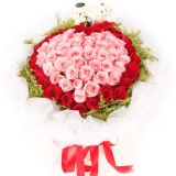 վǰʻٵ